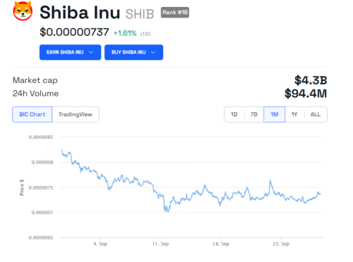Ждать ли взрывного роста Shiba Inu (SHIB)